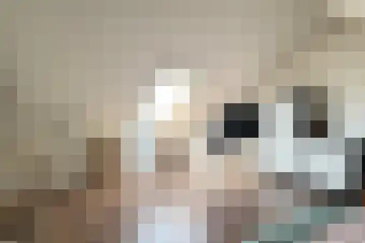 Katie Jansstraat 6 Venlo thumbnail 27