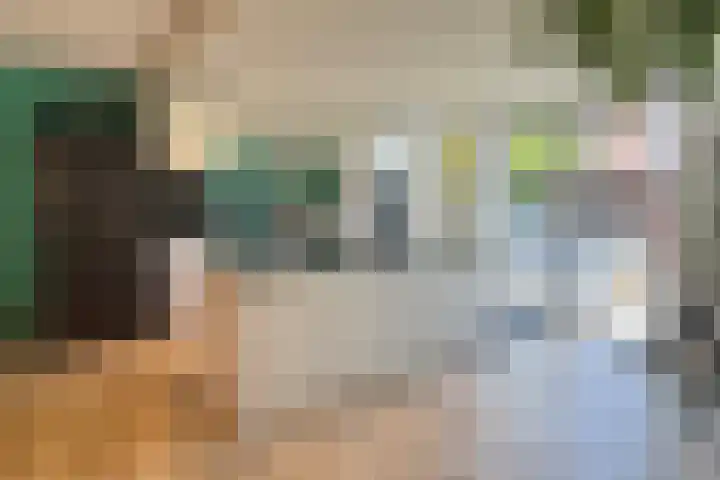Katie Jansstraat 6 Venlo thumbnail 8