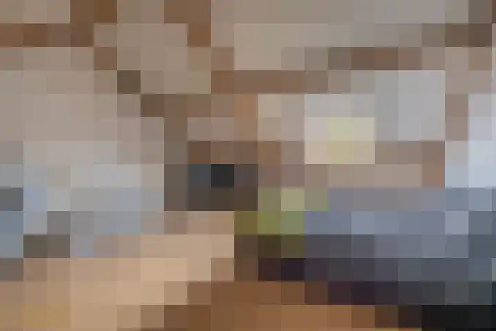 Katie Jansstraat 9 Venlo thumbnail 18