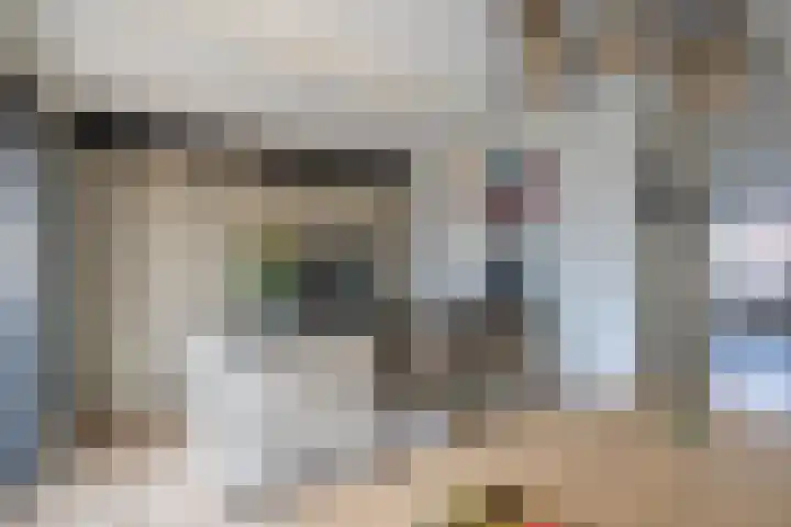 Katjesbos 115 Doetinchem thumbnail 10