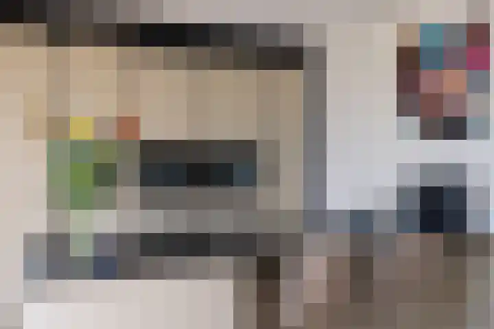 Katjesbos 115 Doetinchem thumbnail 11
