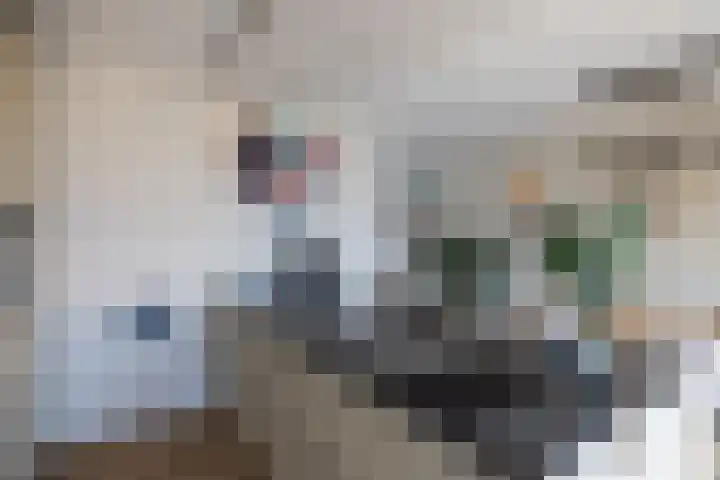 Katjesbos 115 Doetinchem thumbnail 12