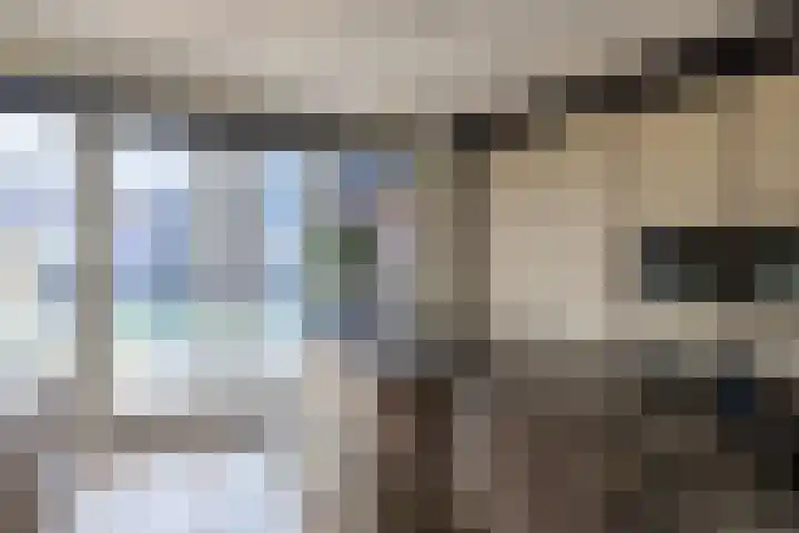 Katjesbos 115 Doetinchem thumbnail 14