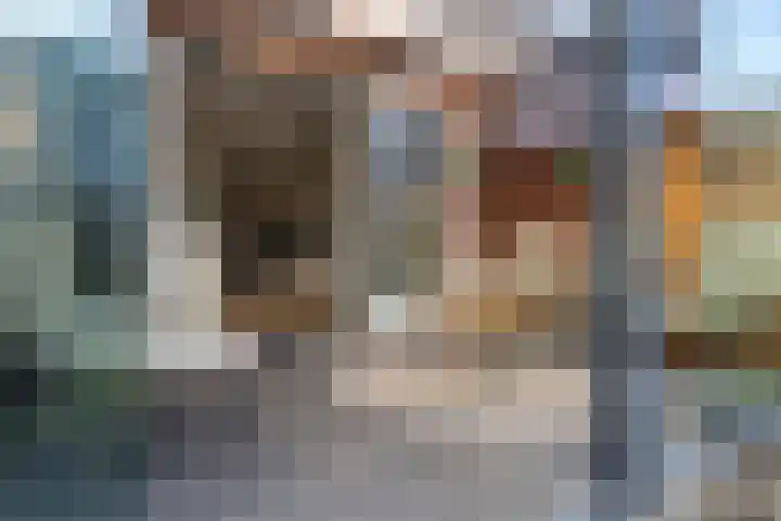 Katjesbos 115 Doetinchem thumbnail 15
