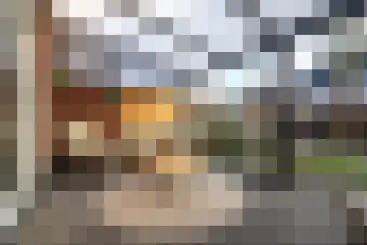 Katjesbos 115 Doetinchem thumbnail 16