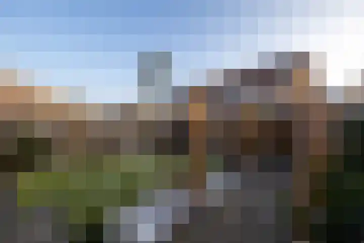 Katjesbos 115 Doetinchem thumbnail 18