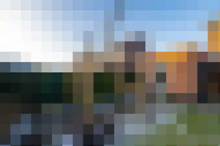 Katjesbos 115 Doetinchem thumbnail 19