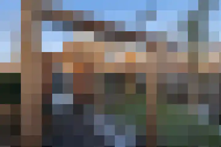 Katjesbos 115 Doetinchem thumbnail 20