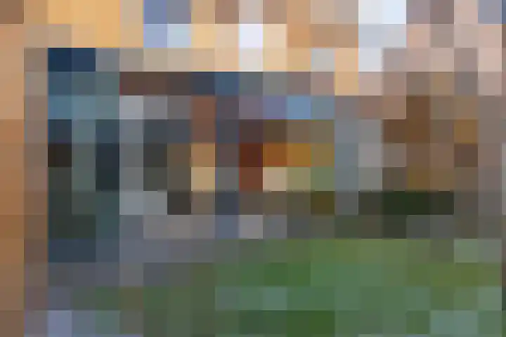 Katjesbos 115 Doetinchem thumbnail 21