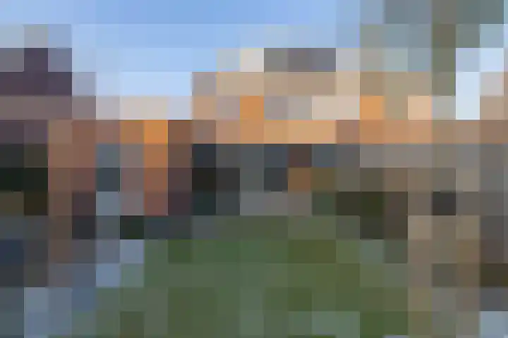 Katjesbos 115 Doetinchem thumbnail 22