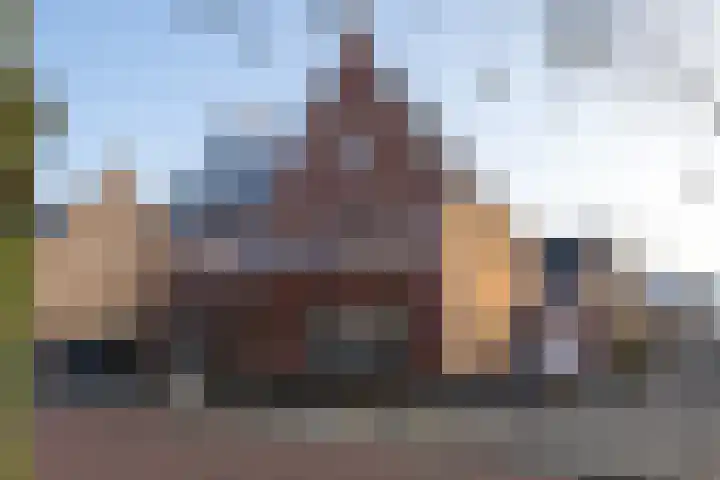 Katjesbos 115 Doetinchem thumbnail 24