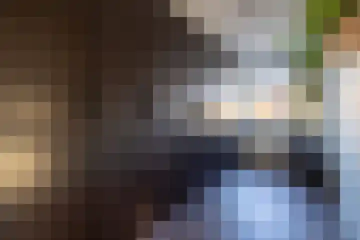 Katjesbos 115 Doetinchem thumbnail 28