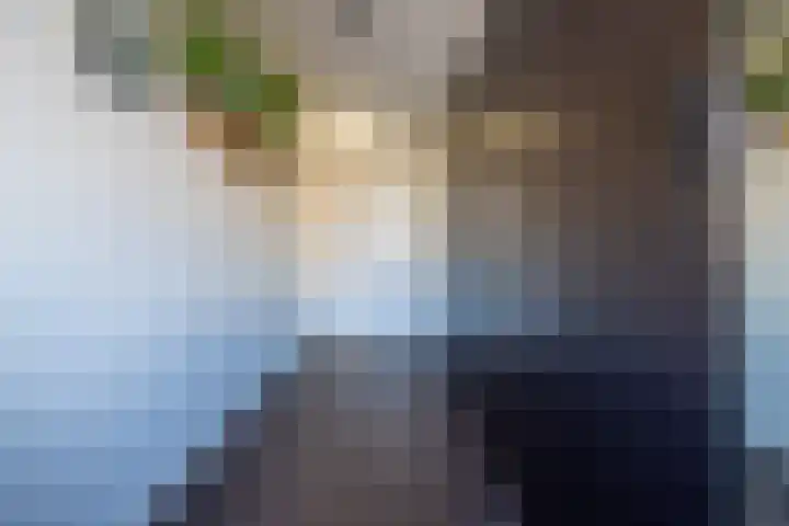 Katjesbos 115 Doetinchem thumbnail 29