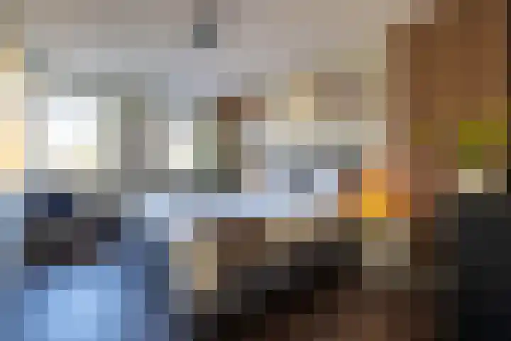 Katjesbos 115 Doetinchem thumbnail 30