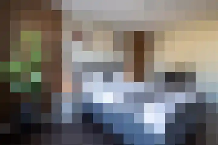 Katjesbos 115 Doetinchem thumbnail 31