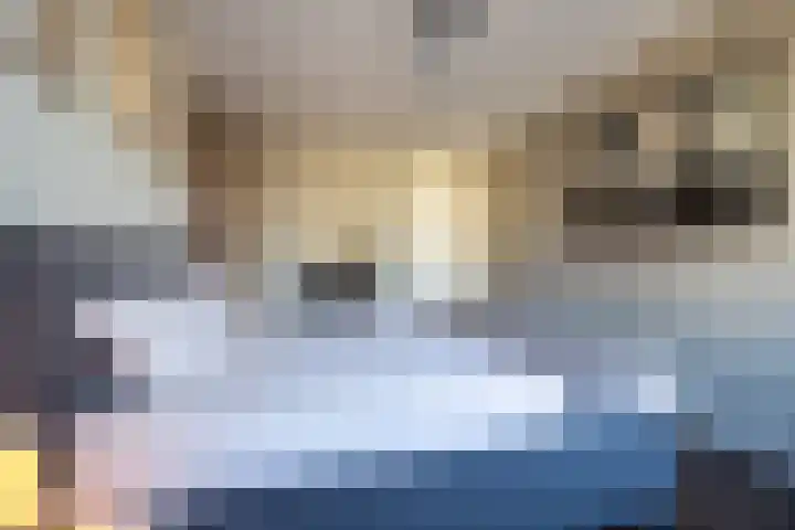 Katjesbos 115 Doetinchem thumbnail 32