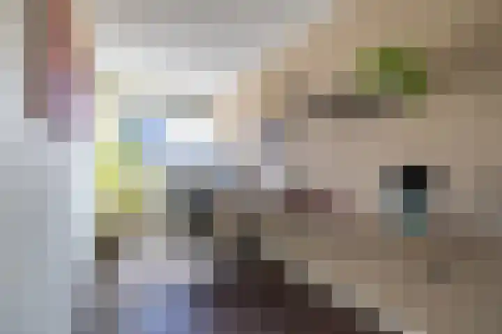 Katjesbos 115 Doetinchem thumbnail 33