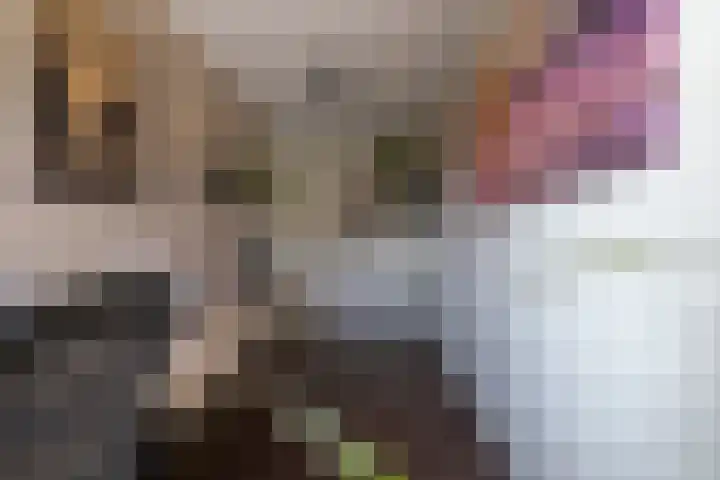 Katjesbos 115 Doetinchem thumbnail 34
