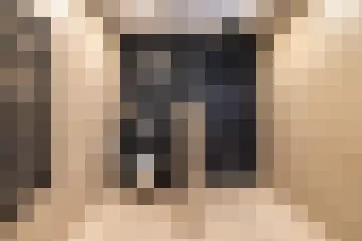 Katjesbos 115 Doetinchem thumbnail 38