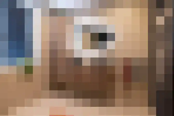 Katjesbos 115 Doetinchem thumbnail 39