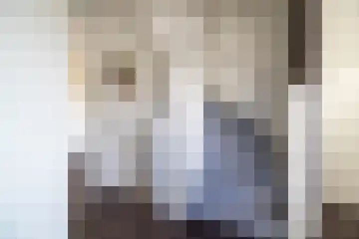 Katjesbos 115 Doetinchem thumbnail 41