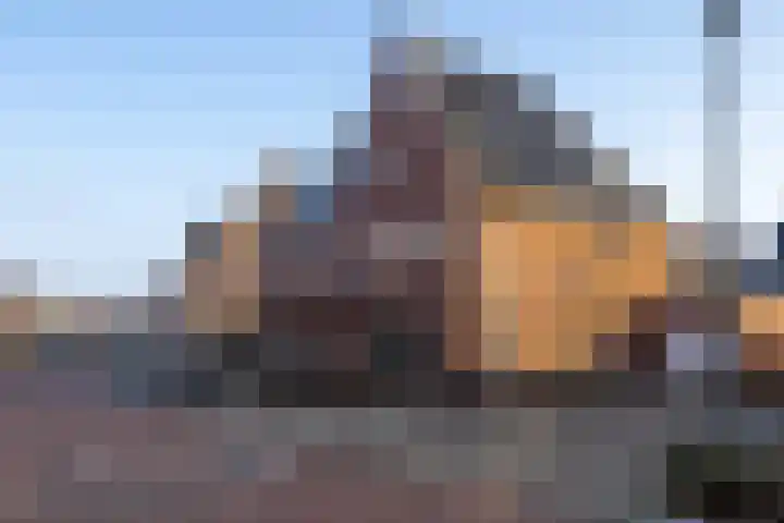 Katjesbos 115 Doetinchem thumbnail 49