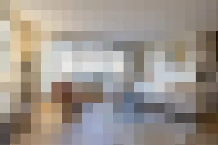 Katjesbos 115 Doetinchem thumbnail 5