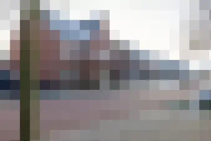 Katjesbos 115 Doetinchem thumbnail 51