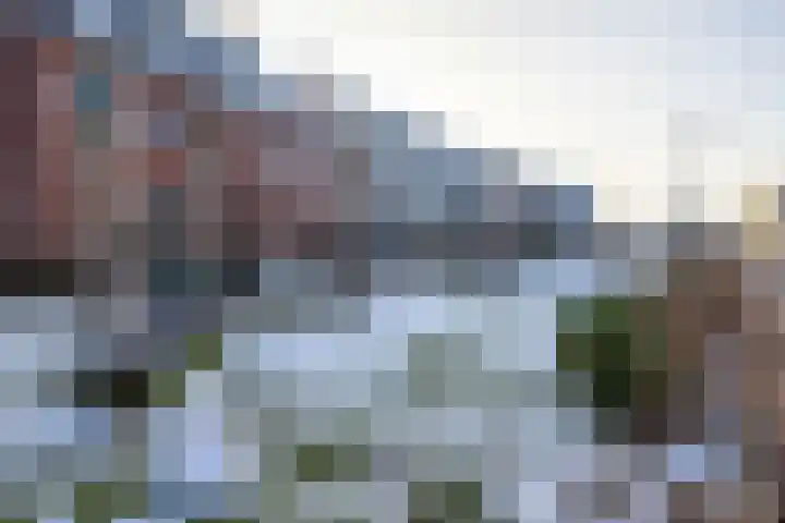 Katjesbos 115 Doetinchem thumbnail 52