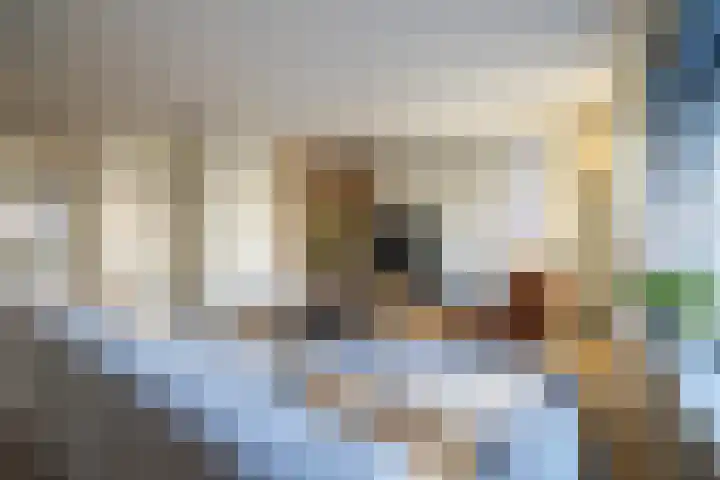 Katjesbos 115 Doetinchem thumbnail 6