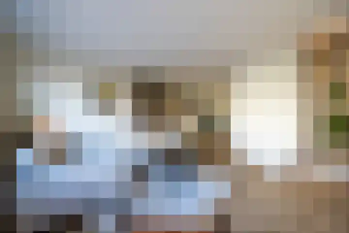 Katjesbos 115 Doetinchem thumbnail 7