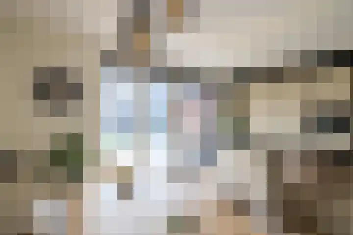 Katjesbos 115 Doetinchem thumbnail 9