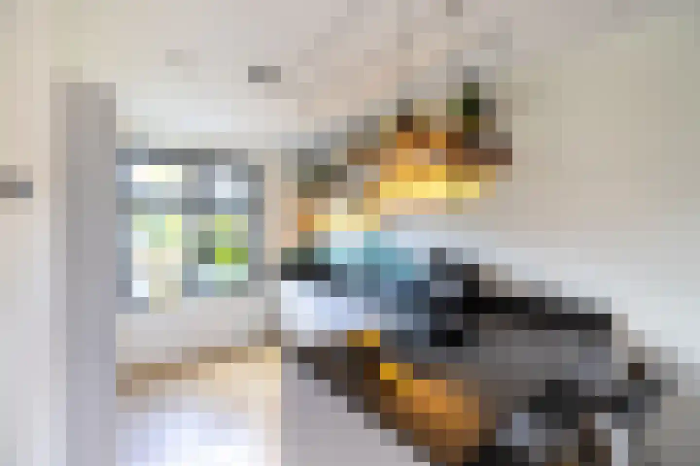 Katjesbos 129 Doetinchem thumbnail 10
