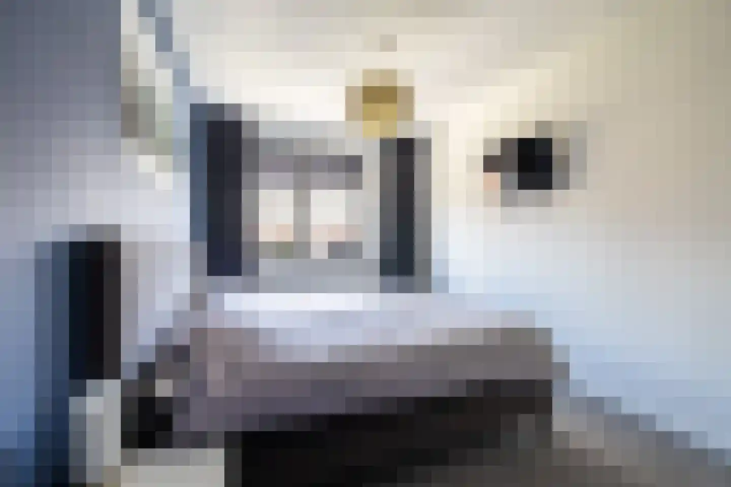Katjesbos 129 Doetinchem thumbnail 24