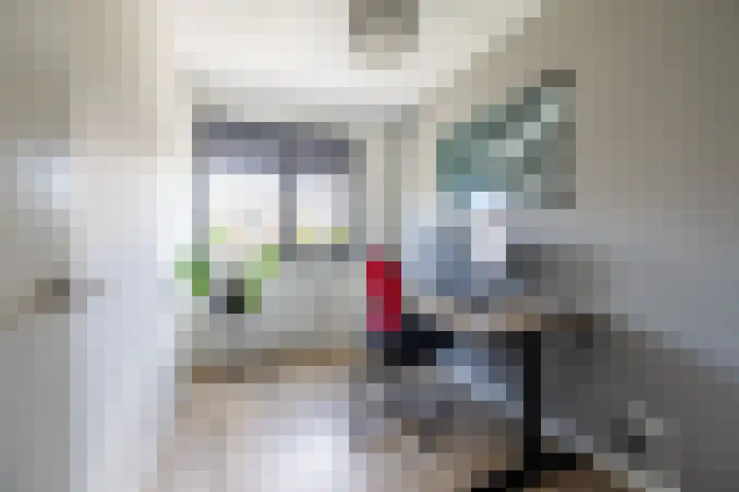 Katjesbos 129 Doetinchem thumbnail 29