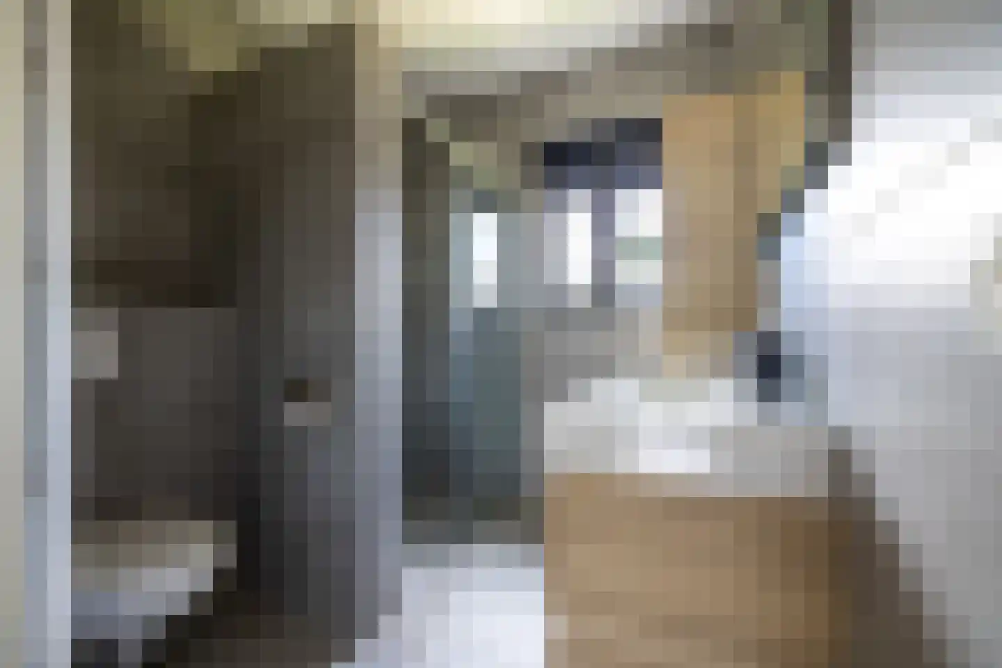 Katjesbos 129 Doetinchem thumbnail 31