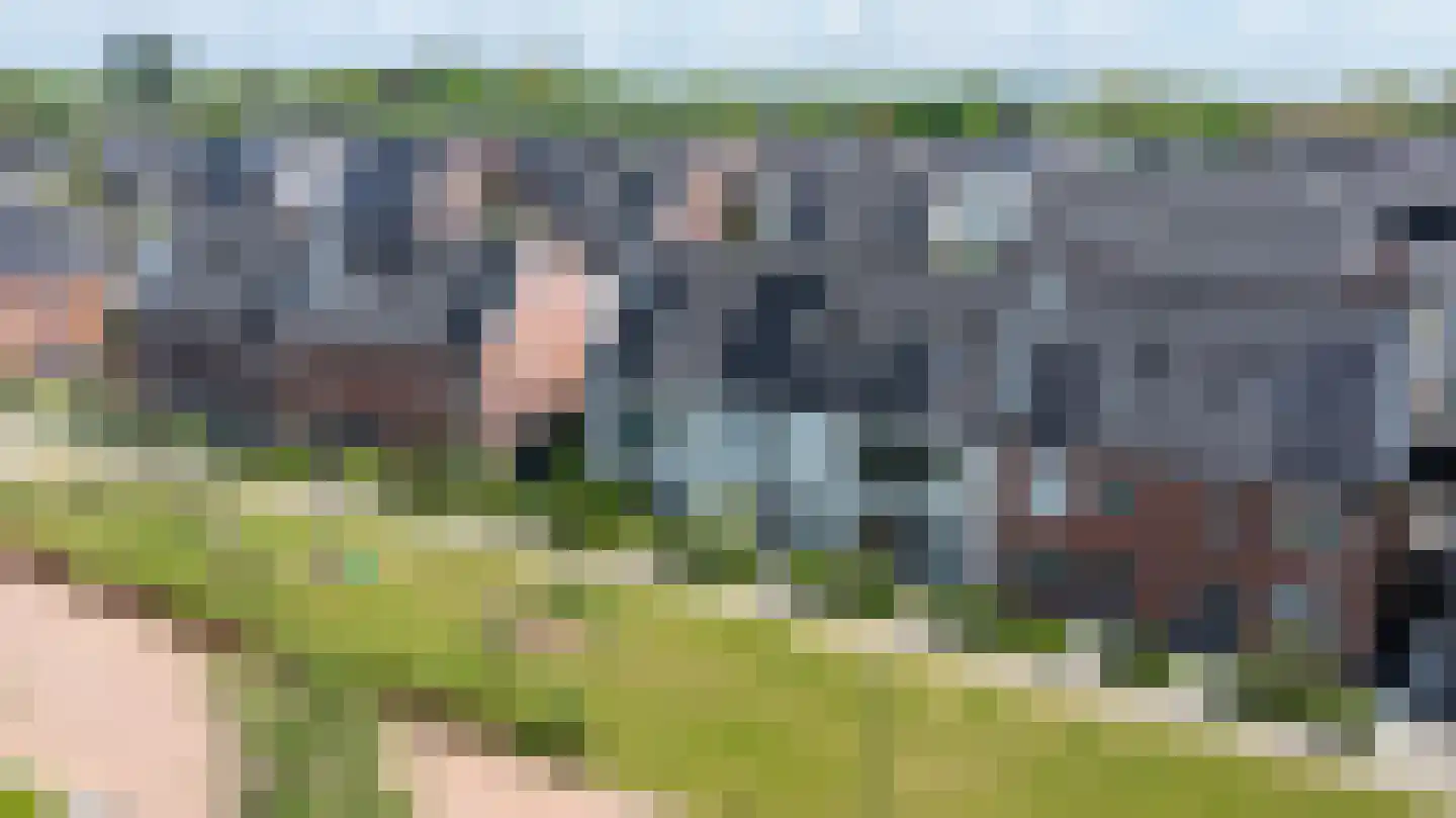 Katjesbos 129 Doetinchem thumbnail 47