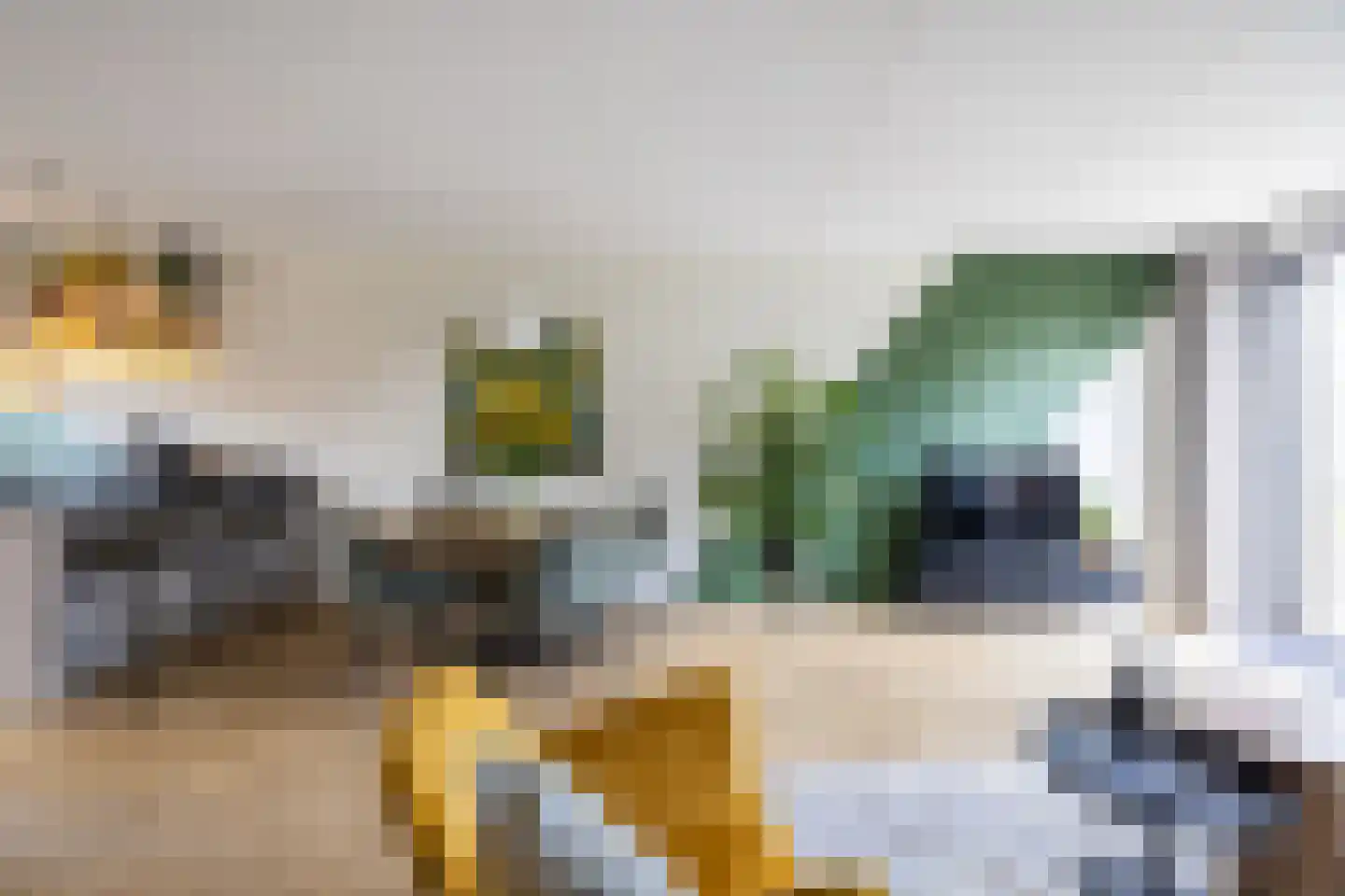 Katjesbos 129 Doetinchem thumbnail 8
