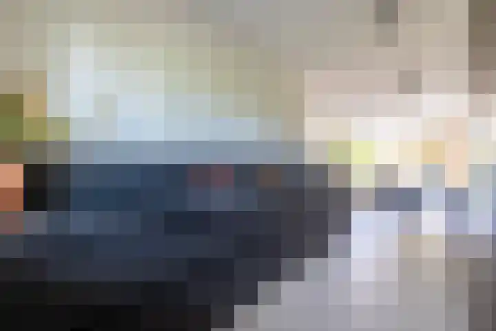 Katjesbos 16 Doetinchem thumbnail 13