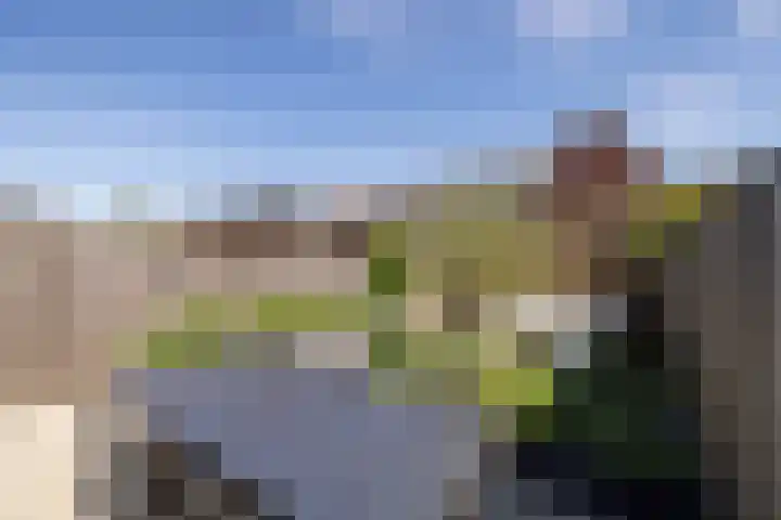 Katjesbos 16 Doetinchem thumbnail 16