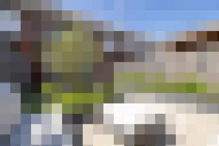 Katjesbos 16 Doetinchem thumbnail 19
