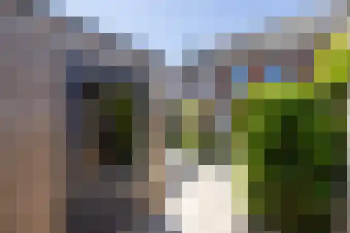 Katjesbos 16 Doetinchem thumbnail 21