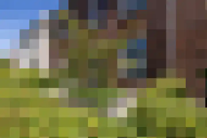 Katjesbos 16 Doetinchem thumbnail 23