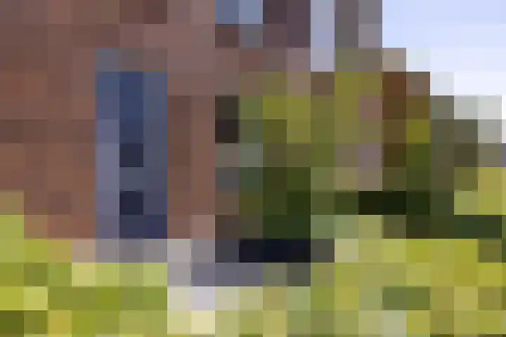 Katjesbos 16 Doetinchem thumbnail 24