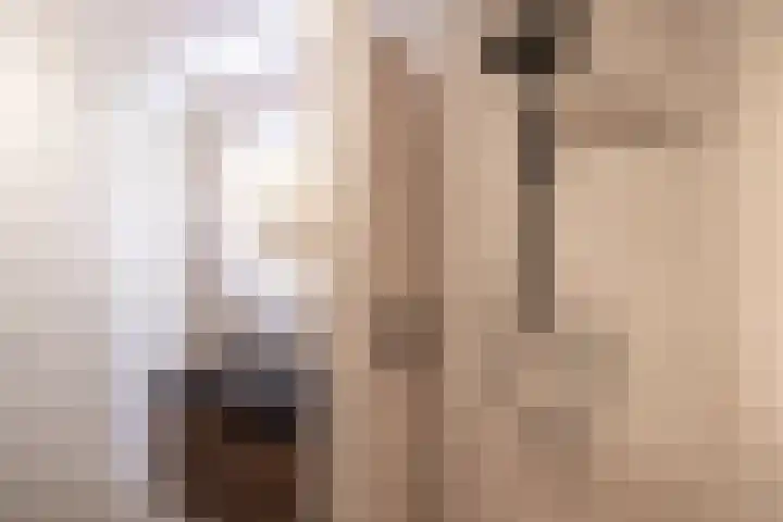 Katjesbos 16 Doetinchem thumbnail 36