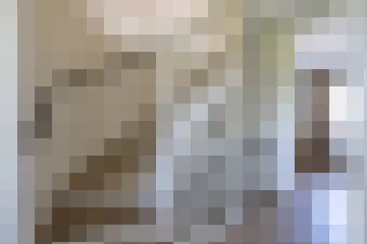 Katjesbos 16 Doetinchem thumbnail 38