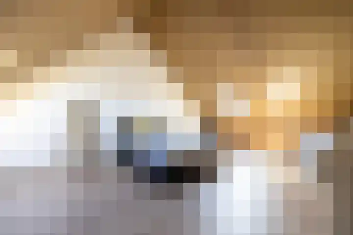 Katjesbos 16 Doetinchem thumbnail 39