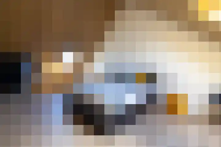 Katjesbos 16 Doetinchem thumbnail 40