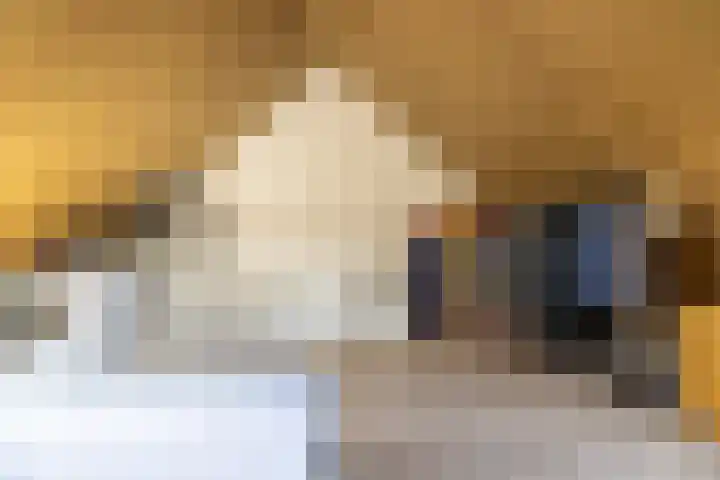 Katjesbos 16 Doetinchem thumbnail 41