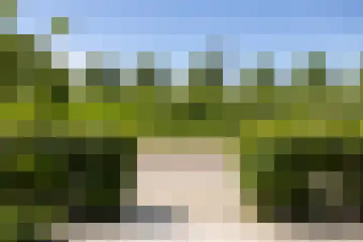 Katjesbos 16 Doetinchem thumbnail 42